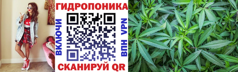 купить наркотик Шиханы Канабис гибрид